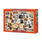 Pusle 1500 tükki Kollaaž Koertega