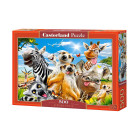 500-osaline pusle African Selfie