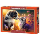 500-osaline pusle New Friendship