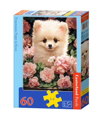 Pusle 60 tükki Pomeranian kutsikas roosides B-066261