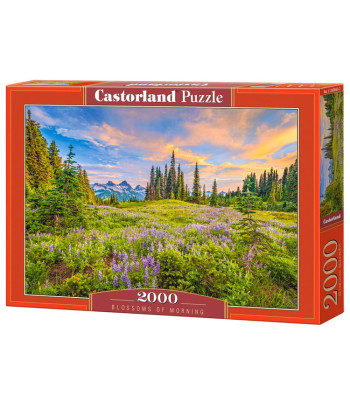 2000 tükki pusle Hommikused õied