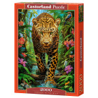 2000-osaline pusle Leopard looduses