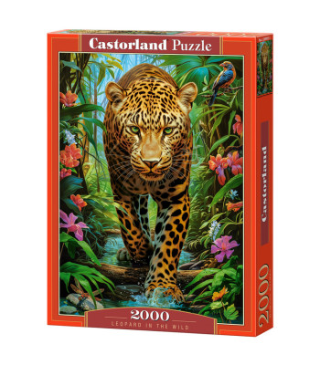 2000-osaline pusle Leopard looduses