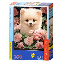 Pusle 300 tükki Pomeranian Kutsikas Roosides