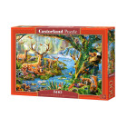 Mõistatus 500 el. Mets Elu