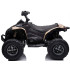 laste elektriline quad can-am eva ratastega pa0284 be