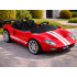 laste elektriauto ford gt 24v 4x4 2-kohaline puldiga