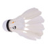 looduslike sulgedega sulgpallid, 12 tk tuubis sp0863