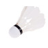 looduslike sulgedega sulgpallid, 12 tk tuubis sp0863