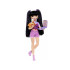 Mattel nukk tarvikutega Barbie Dream Besties Renee ZA6719
