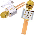 Juhtmeta karaoke-mikrofon Bluetooth-kõlari ja häälemuutjaga IN0136