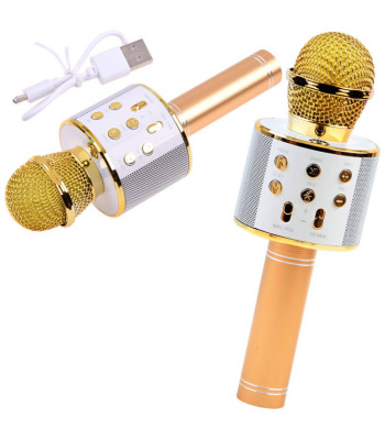 Juhtmeta karaoke-mikrofon Bluetooth-kõlari ja häälemuutjaga IN0136