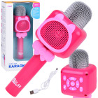 Juhtmevaba laste karaokemikrofon salvestamise ja Bluetoothiga IN0168
