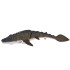 Kaugjuhitav veemozasaurus, ujub ja pihustab vett, 40 cm RC0801
