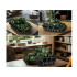 Reobrixi World of Tanksi litsentsiga tanki ehitusklotsid, 839 osa, Sherman M4A3E8, ZA5806