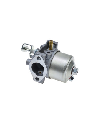 Karburaator bensiinimootoriga muruniidukile G83050/83055 (1)