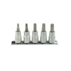 TORX-padrunvõtmete komplekt, 5-osaline, CRV, T25–T50, 3/8