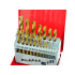 Metallipuuride komplekt HSS TiN, 19 tk, metallkarp, 1–10 mm (40/80)