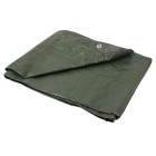 Paks roheline presendikate 80g/m² (6), 5x6m