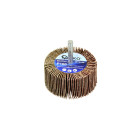 Varrega lamellketas P100 (10/40/200) 60x30x6