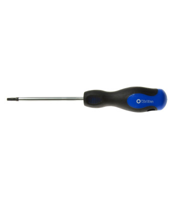 Torx-kruvikeeraja GEKO, T20 × 100 mm (12/120)
