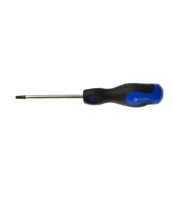 Torx-kruvikeeraja GEKO T27 x 100 mm (10/100)