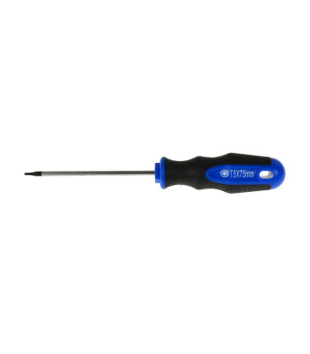 Torx-kruvikeeraja GEKO T5x75 mm (10/100)