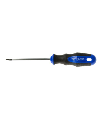 Torx-kruvikeeraja GEKO T6, 75 mm (10/100)
