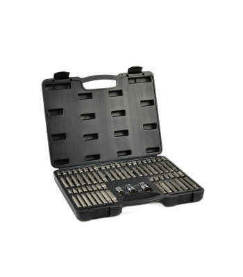 TORX-, SPLINE-, RIBE- ja kuuskantotsakute komplekt, 75 osa (5)