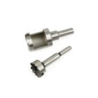 Oksapuuri ja punnilõikuri komplekt puidutöötluseks, 30 mm