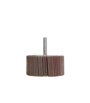 Varrega lamell-lihvimisketas, 60x30x6 mm, P120 (10/200)