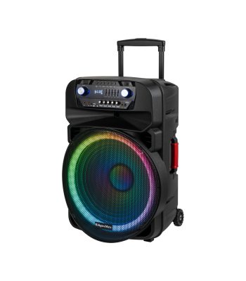 Aktiivne kõlar 2 juhtmevaba UHF-mikrofoni, SD, Bluetooth, FM, USB, LED, 60 Watt, KM 1718