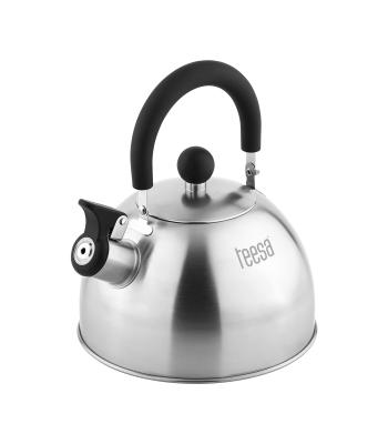 Roostevabast terasest vilega veekeetja Teesa TSA0153 1,8 l
