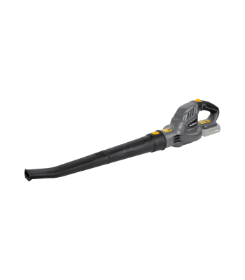 Akutoitega lehepuhur Rebel Tools 20V