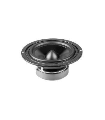 Kõlar DBS-G4001 4 Ohm 4