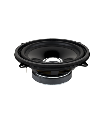 Kõlar DBS-G1301 4 Ohm (kinnituskõrvadega), 5