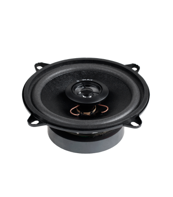 Kõlar 2WAY/100W 5″ WS-1312TW