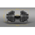 Malmist reguleeritav automaatne hantel Rebel Active RBA-2304 40 kg