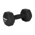 Malmist neopreenkattega HEX-hantlid REBEL ACTIVE, 2 × 10 kg