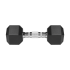 Kummiga kaetud malmist hantlid HEX REBEL ACTIVE 2x7 kg