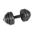 Reguleeritavad malmhantlid kohvris koos kangiga, Rebel Active 30 kg