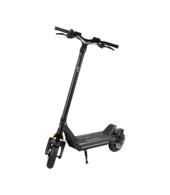 Elektriline tõukeratas REBEL FAST WHEELS PRO MAX