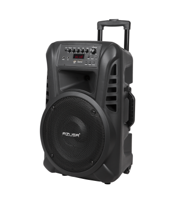 Aktiivkõlar 2 juhtmevaba mikrofoni, SD, Bluetooth, USB, 40 W, 12