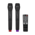 Aktiivkõlar 2 juhtmevaba mikrofoni, SD, Bluetooth, USB, 40 W, 12