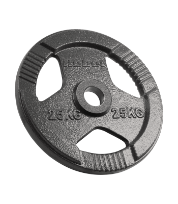 Olümpia malmketas käepidemetega, Rebel Active, 25 kg, 51 mm