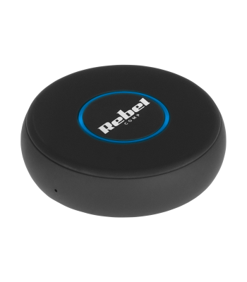 Bluetooth-audio vastuvõtja Rebel B20