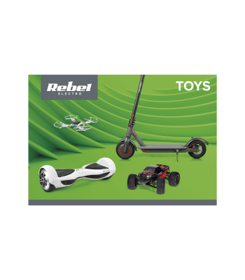 Plakat Rebel Toys 68 x 98 cm (B1)