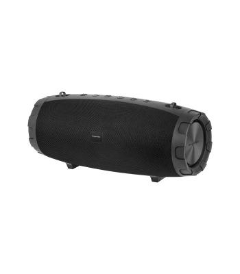 Kaasaskantav Bluetooth-kõlar Kruger&Matz Explorer+
