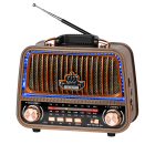 Kaasaskantav analoograadio Kruger&Matz KM0833
