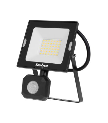 LED-prožektor Rebel liikumis- ja hämarusanduriga, 4000K, 230V, 30W, 110 x 100 x 33 mm